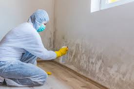 Mold Remediation for Rental Properties in Cheney, KS