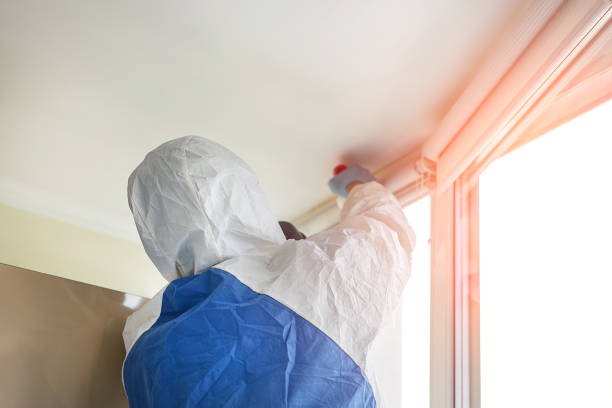 Mold Remediation for Vacation Homes in Cheney, KS