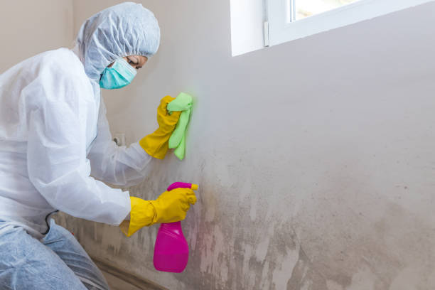 Best Industrial Mold Remediation  in Cheney, KS