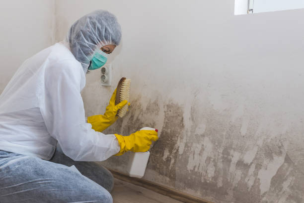 Best Biohazard Mold Removal  in Cheney, KS