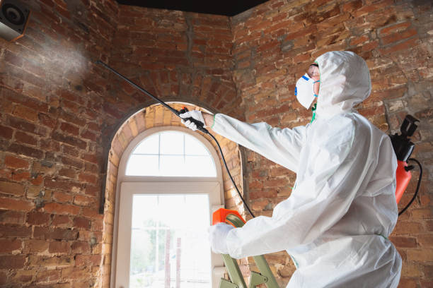 Best Mold Damage Restoration  in Cheney, KS